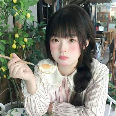 柏林猫咪日记